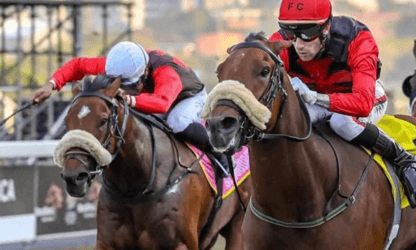 Dynally & Royal Swan Master